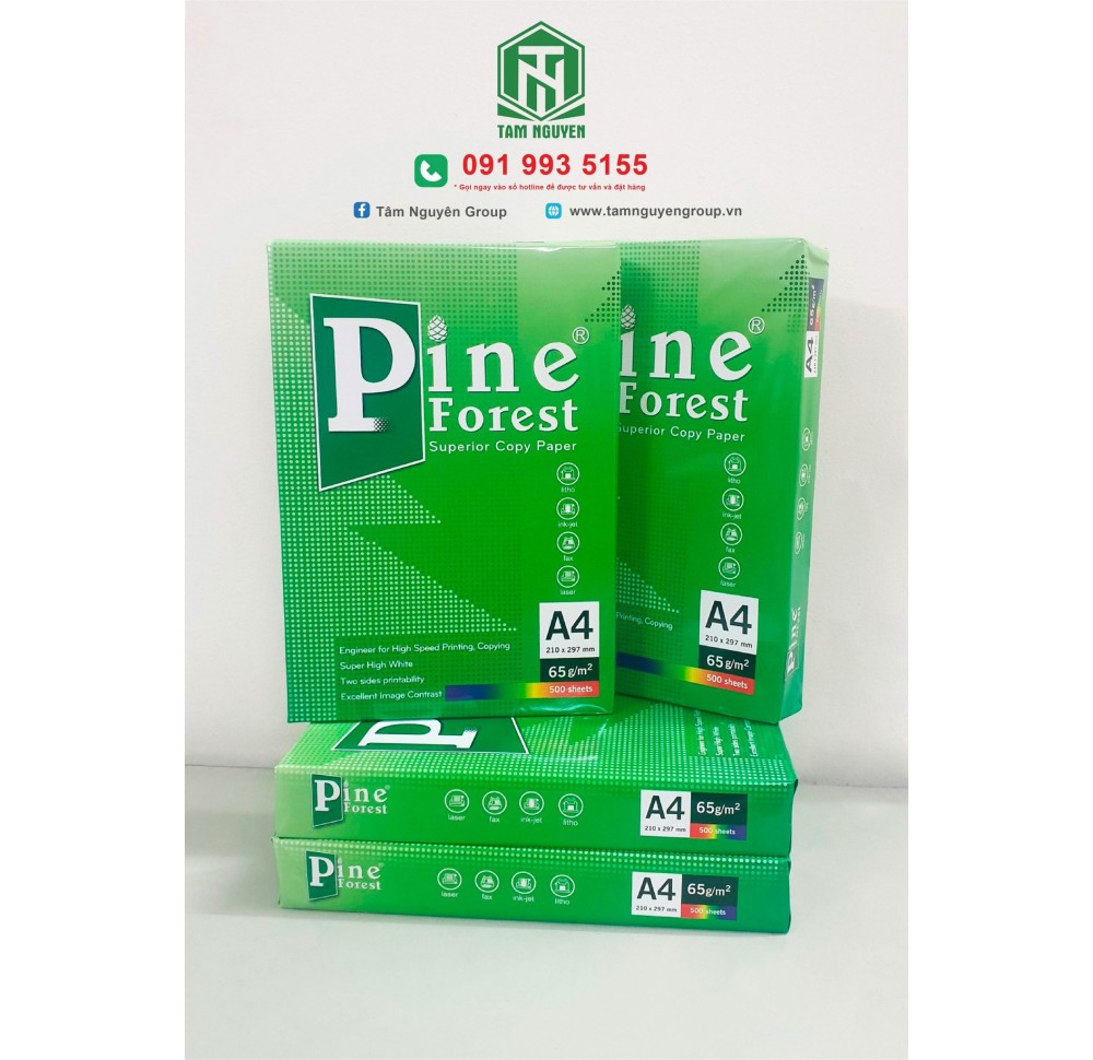 Giấy Pine Forest khổ A4- ĐL65